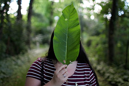 landscape, nature, fashion, person thumbnail