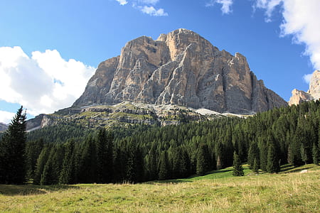 mountain surrounded by forest at daytime thumbnail