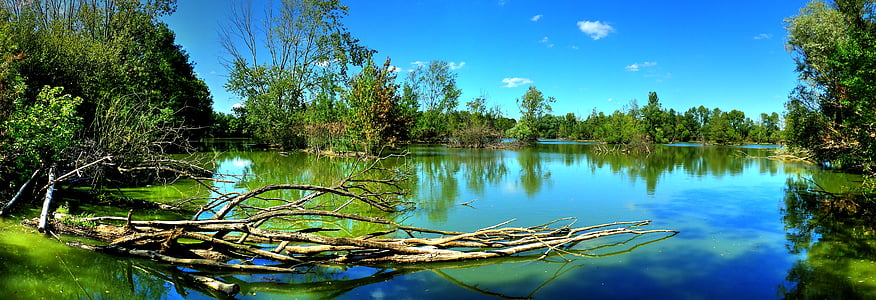 panoramic photography of body of water surrounded with trees during daytime thumbnail