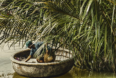 man on boat beside coconut tree thumbnail