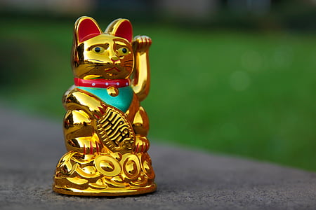 selective focus photography of gold-colored lucky cat figure thumbnail