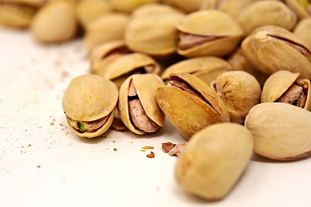 brown nut lot thumbnail
