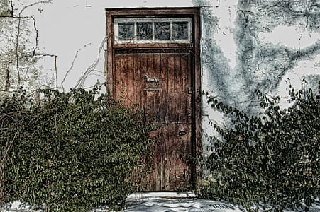 plants near door panel thumbnail