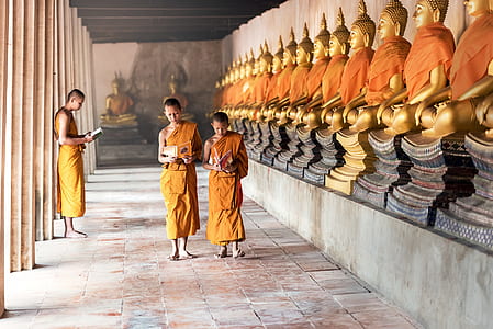 three monks walking on alley beside statues thumbnail