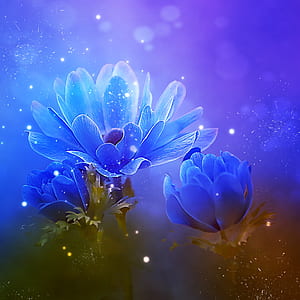 illustration of three blue flowers thumbnail