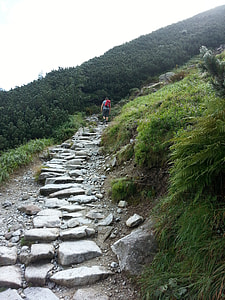 man in blue shirt walking on stone pathway near trees under cloudy sky thumbnail