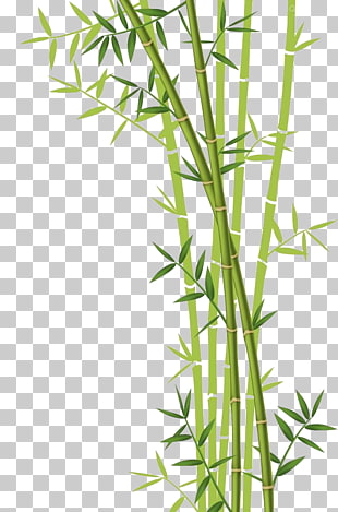 Bamboo Forest Euclidean Stock photography, Bamboo , green bamboos illustration PNG clipart