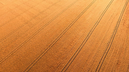 gray field thumbnail