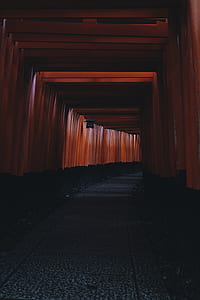 brown tori gate tunnel thumbnail