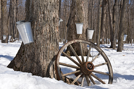 round brown carriage wheel thumbnail
