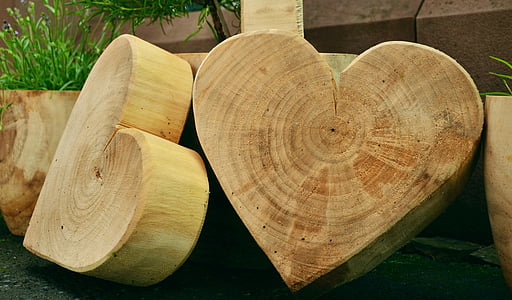 beige wooden heart-shaped tree stumps thumbnail