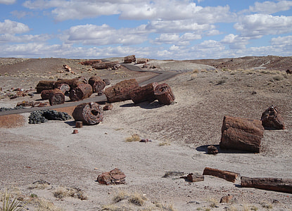 Petrified Forest National Park thumbnail