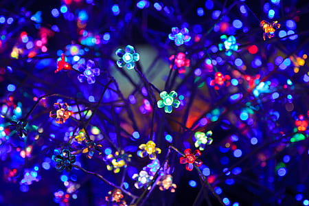 assorted-color flower string lights close up photo thumbnail