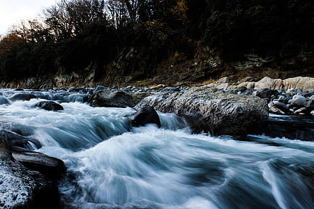 body of water beside plants thumbnail