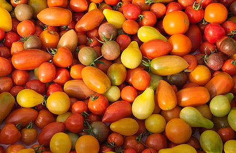 bunch of vegetables thumbnail