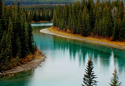 Green Trees Surrounding Lake thumbnail