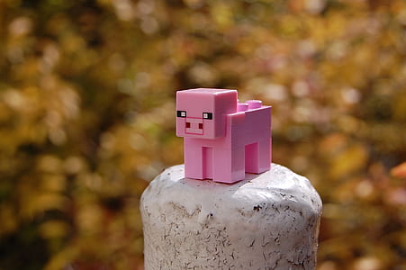selective focus photo of pink animal minecraft toy on rock thumbnail