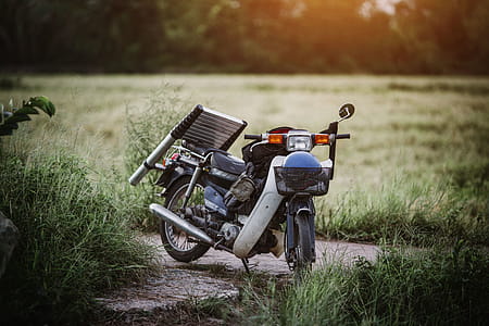 White and Black Underbone Motorcycle Near Green Grass Field thumbnail