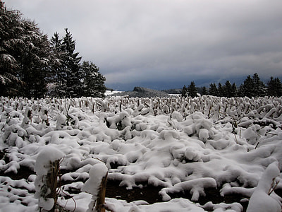 snowfield under nimbus cloud photo thumbnail
