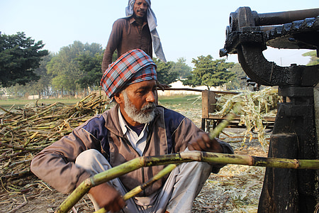 man using sugar cane machine outdoors during day thumbnail