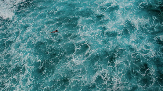 person swimming on sea thumbnail