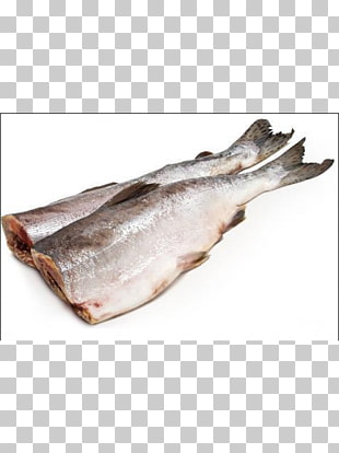 Page 4 361 Atlantic Cod Png Cliparts For Free Download Uihere
