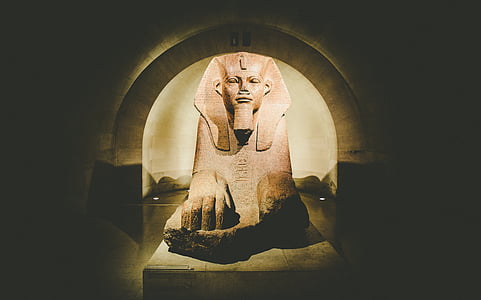brown Sphinx thumbnail