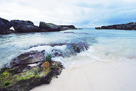 waves crashing on rocks while pineapple on rock thumbnail