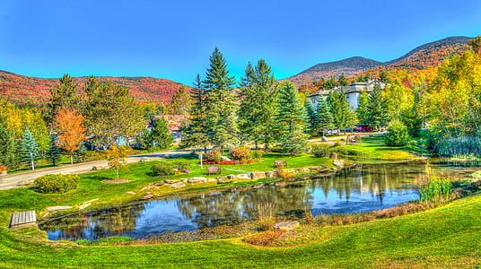 landscape photography of green leafed trees near hills thumbnail