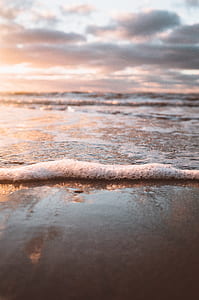 close up photo of seashore thumbnail
