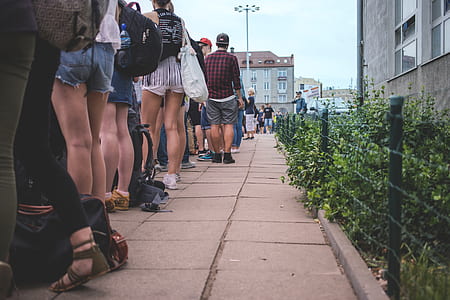 people standing near green plants thumbnail