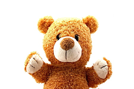 brown bear plush toy thumbnail