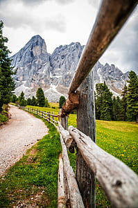 wood fence near road and flower field with mountain in background thumbnail
