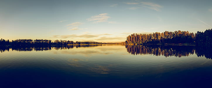 tall trees near body of water thumbnail