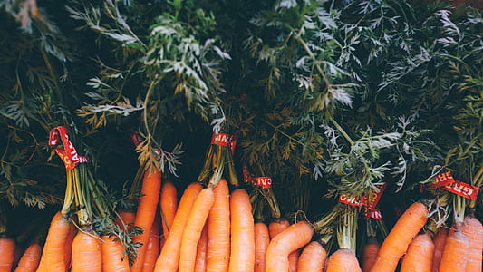 bunch of carrots thumbnail