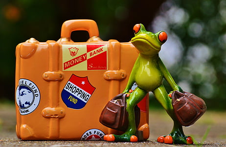 green red-eyed frog carrying bag near orange suitcase figurine at daytime thumbnail