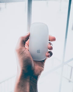 person holding white Apple Magic Mouse thumbnail