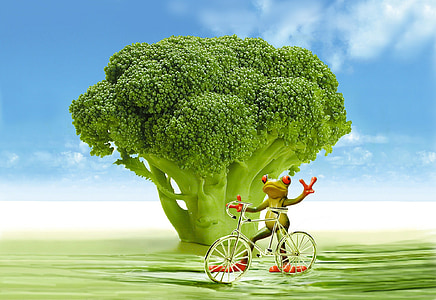 illustration of green frog character holding bicycle near broccoli thumbnail