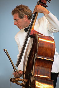 man playing viola while looking side view thumbnail
