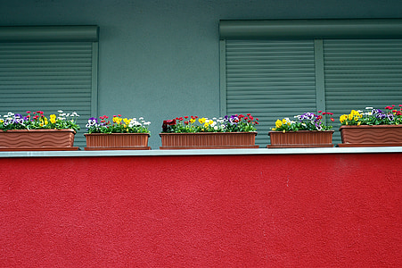 assorted floral plants near windows thumbnail