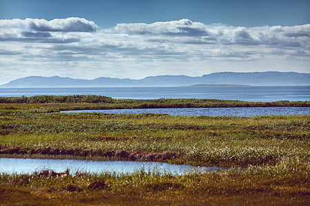 green grass field beside body of water during daytime thumbnail