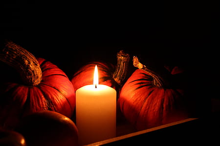 lighted pillar candle beside pumpkins thumbnail