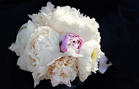 photo of white and purple flowers thumbnail