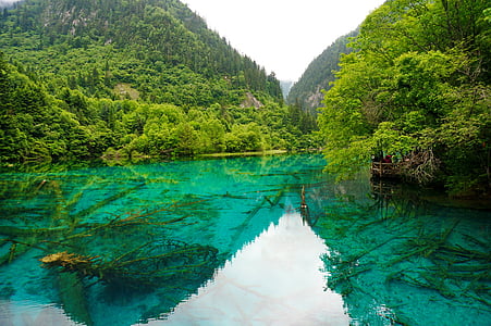 nature photography of blue water and mountains with green trees thumbnail