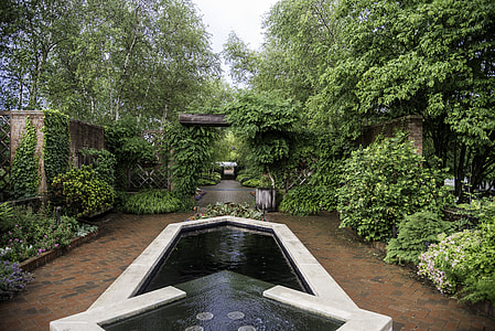 Pools and trees at the Chicago Botanical Gardens thumbnail