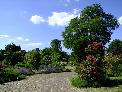 concrete pathway beside flowers and trees under white and blue cloudy skies thumbnail