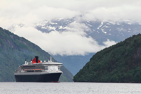 black and white cruise ship near island thumbnail