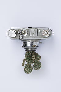 gray SLR camera with green cactus thumbnail