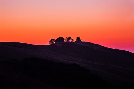 silhouette of tree on mountian thumbnail