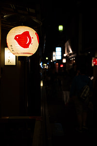shallow focus photography of white paper lantern thumbnail